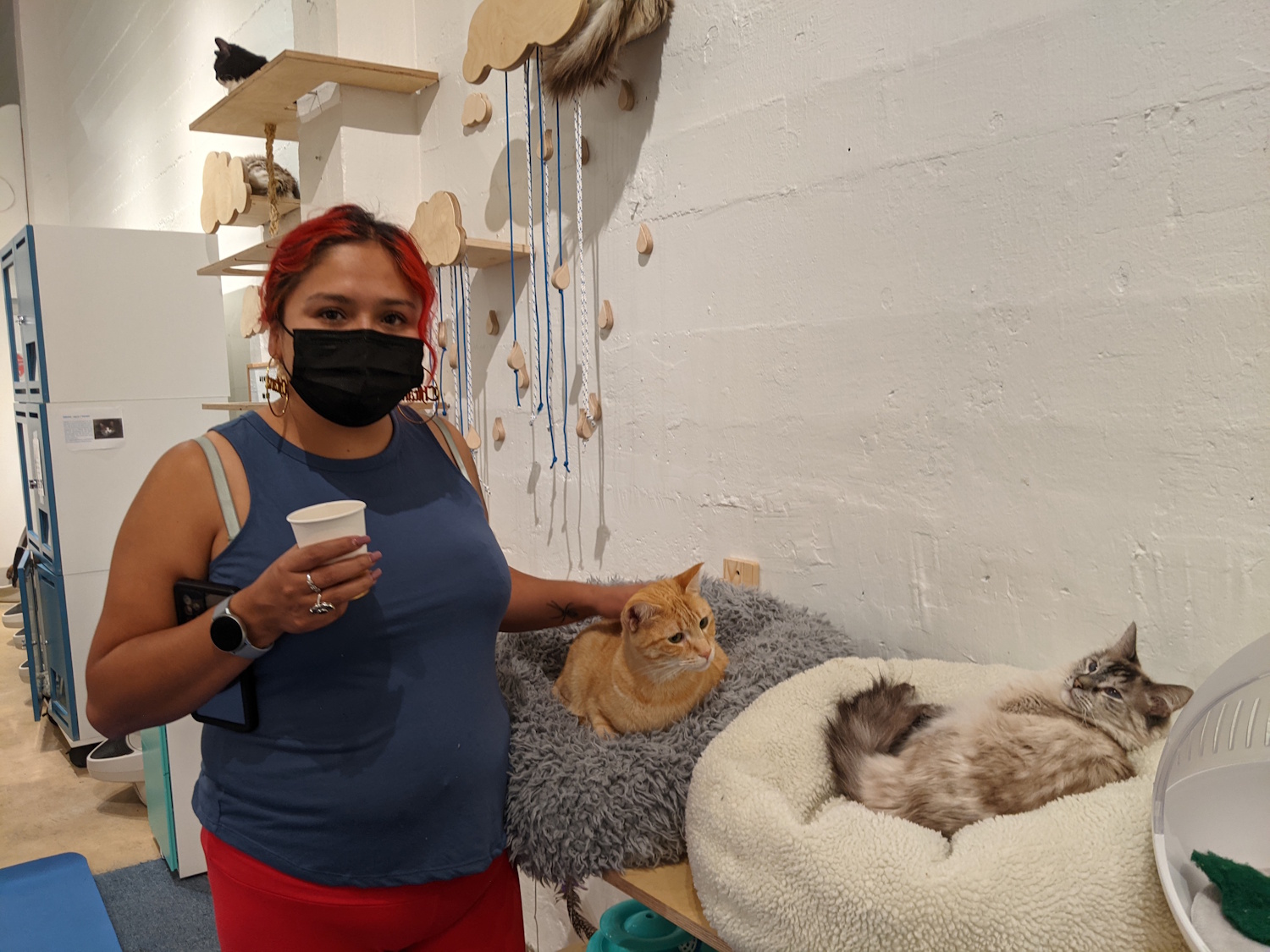 A woman standing next to cats at KitTea Cafe.